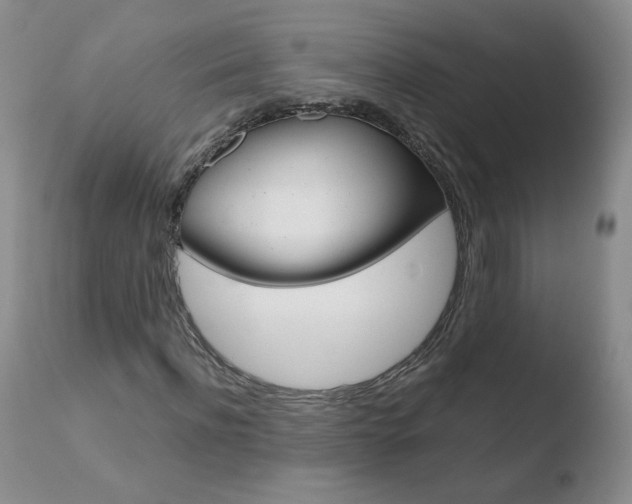 X0000110770916200906150950
