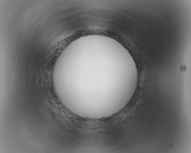 X0000110770917200906150950
