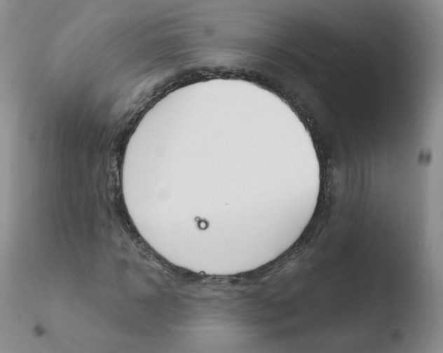 X0000110770918200906150950