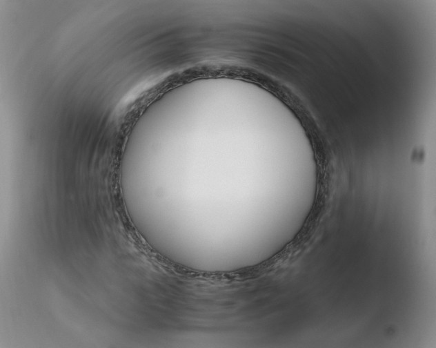 X0000110770919200906150950