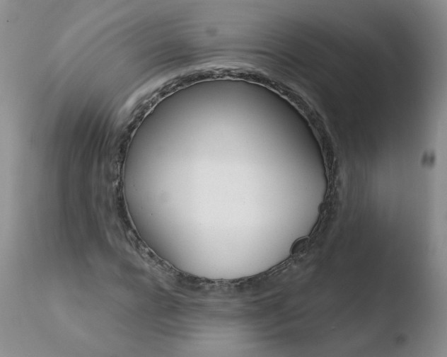 X0000110770920200906150950
