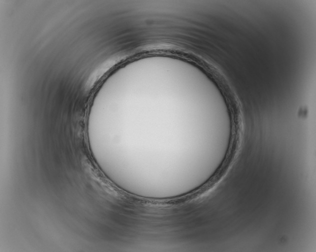 X0000110770921200906150950
