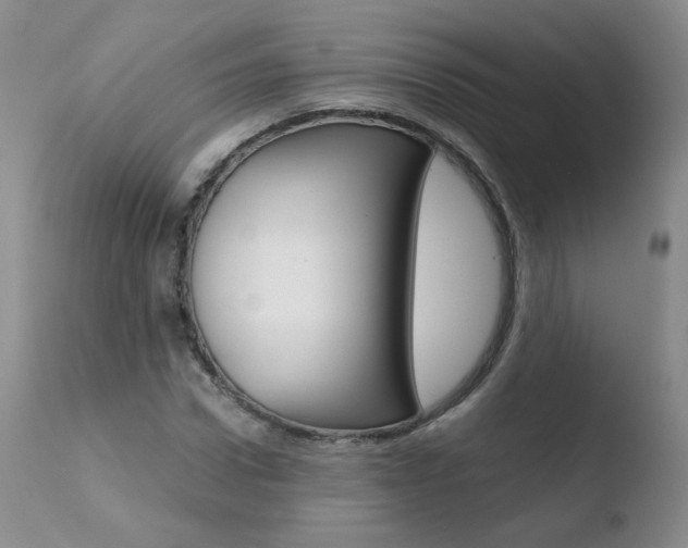 X0000110770922200906150950
