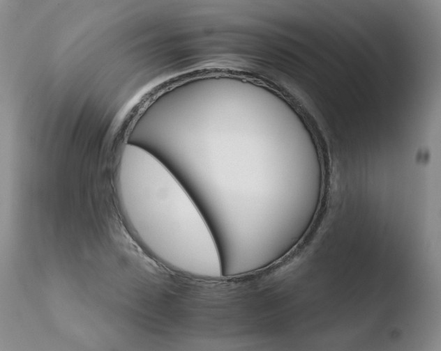 X0000110770923200906150950
