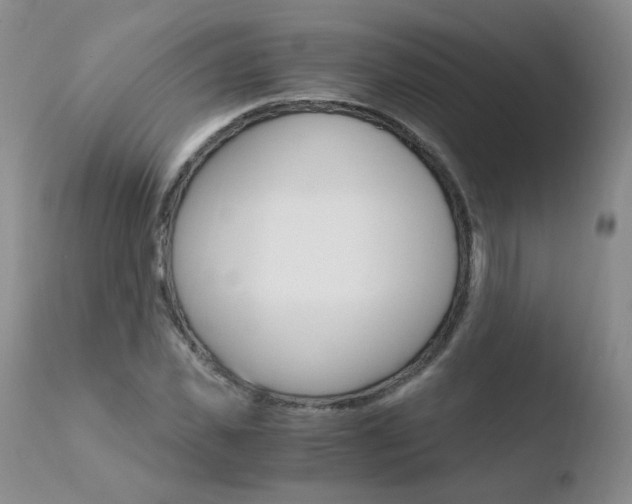 X0000110770925200906150950