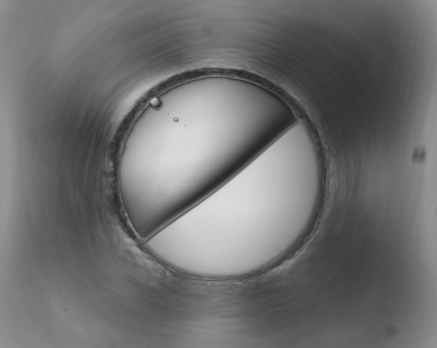 X0000110770926200906150950