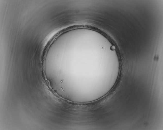 X0000110770927200906150950