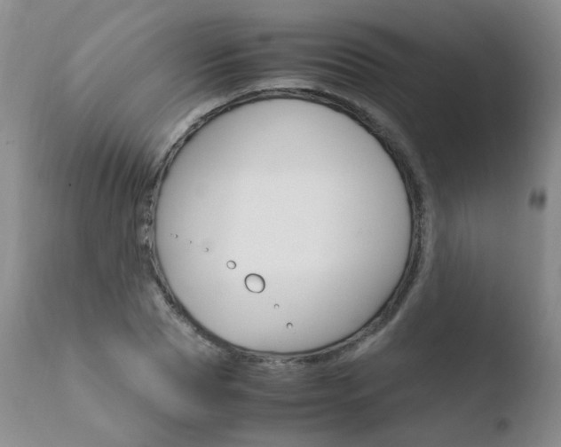 X0000110770929200906150950