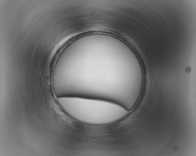 X0000110770931200906150950