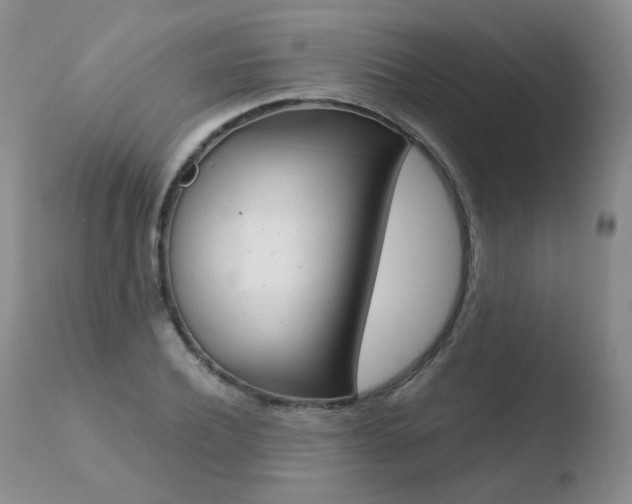 X0000110770932200906150950