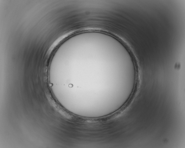 X0000110770933200906150950