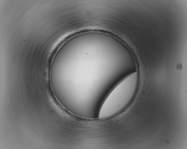 X0000110770934200906150950