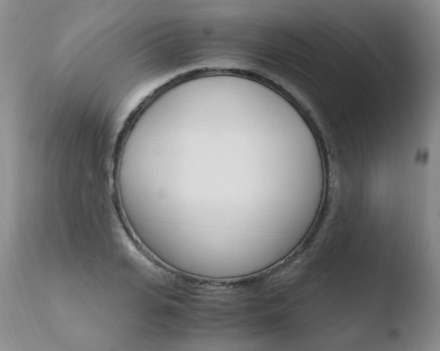 X0000110770935200906150950