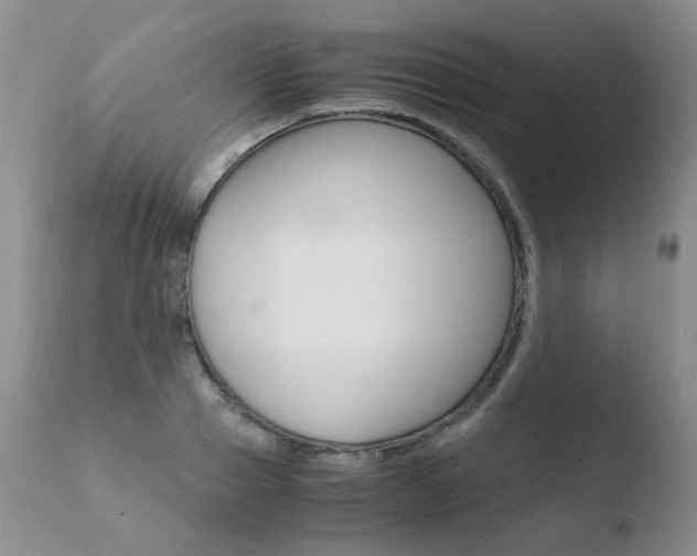 X0000110770937200906150950