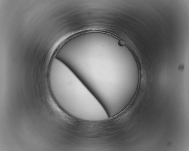 X0000110770939200906150950