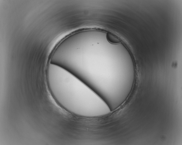 X0000110770943200906150950