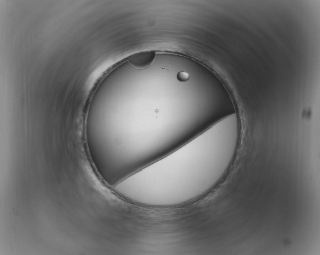 X0000110770944200906150950