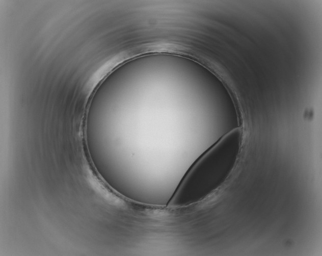 X0000110770946200906150950