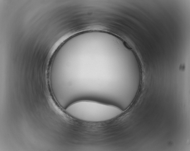 X0000110770947200906150950