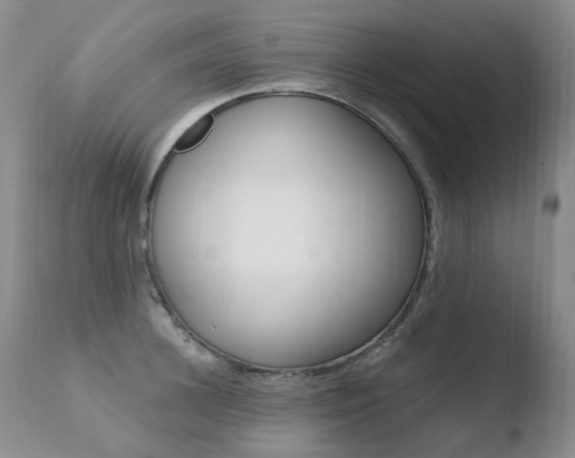 X0000110770948200906150950
