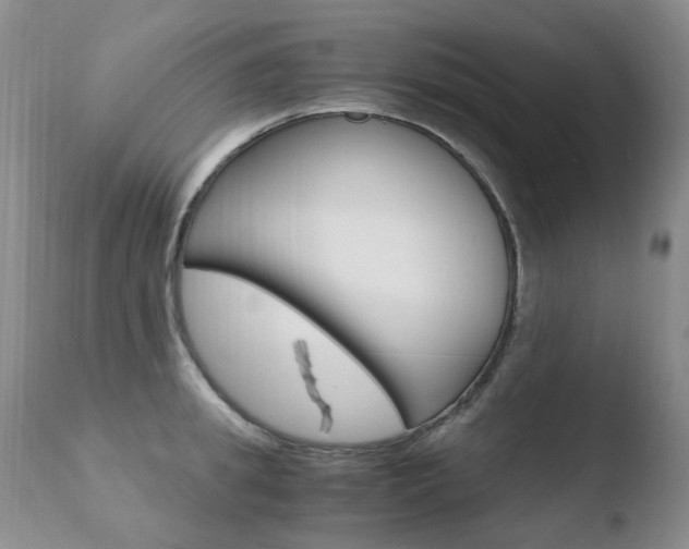 X0000110770949200906150950