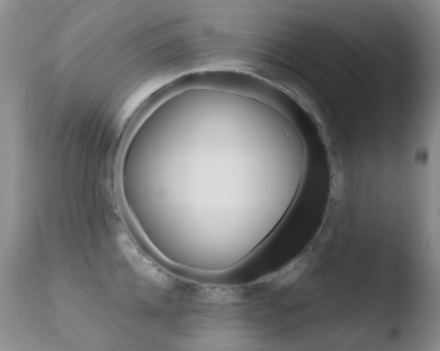 X0000110770952200906150951