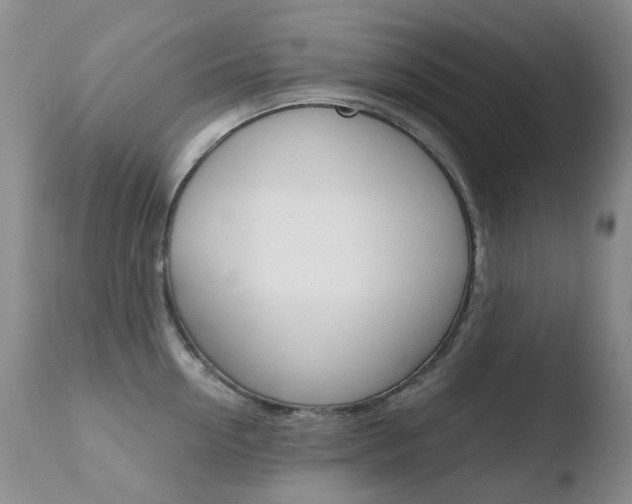 X0000110770954200906150951
