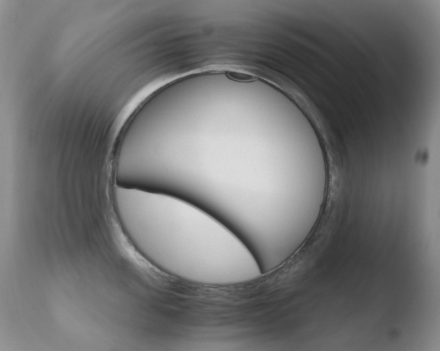 X0000110770955200906150951