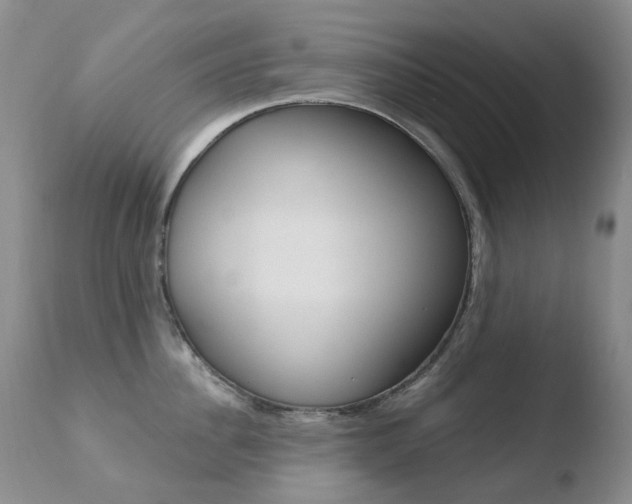 X0000110770956200906150951