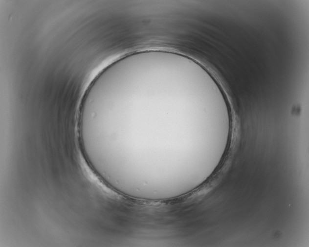 X0000110770957200906150951