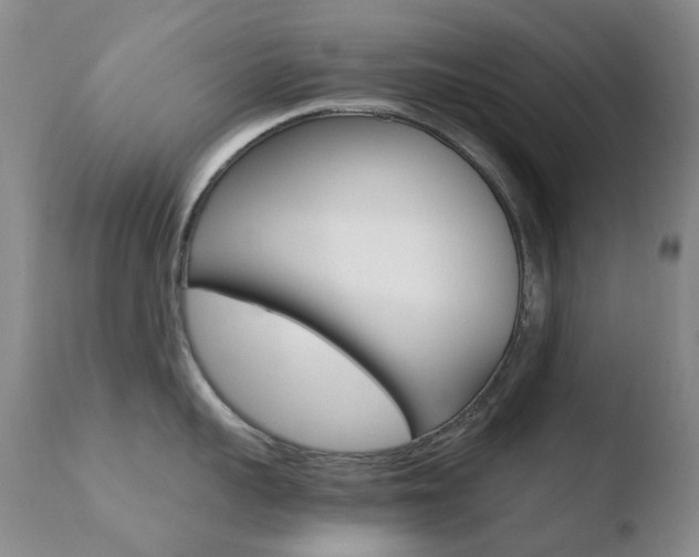 X0000110770959200906150951
