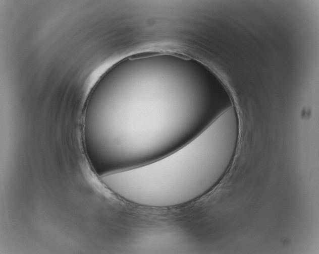 X0000110770960200906150951