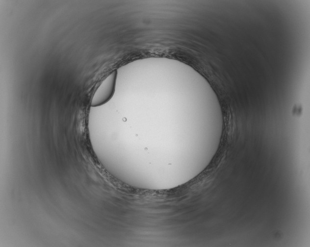 X0000110770962200906150950