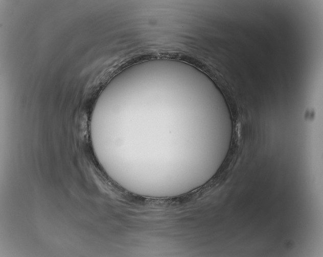 X0000110770963200906150950