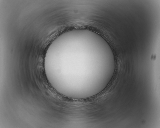 X0000110770964200906150950