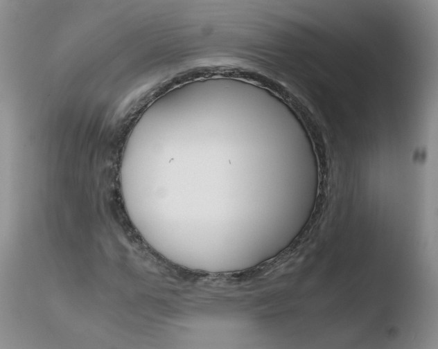 X0000110770967200906150950