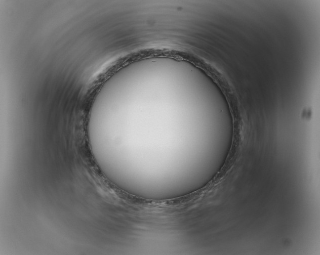 X0000110770968200906150950