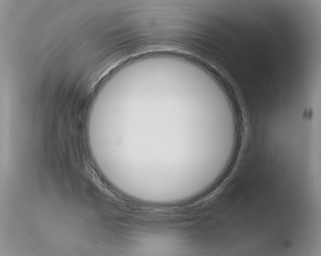 X0000110770969200906150950