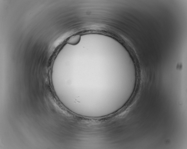 X0000110770970200906150950