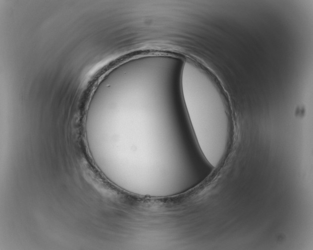 X0000110770971200906150950