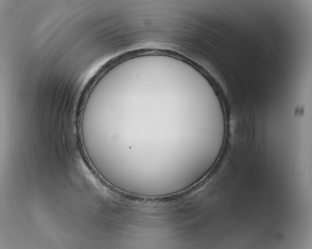 X0000110770972200906150950