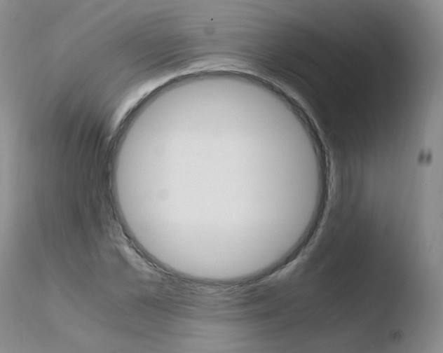 X0000110770973200906150950