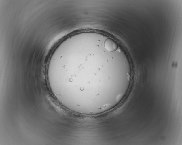 X0000110770974200906150950