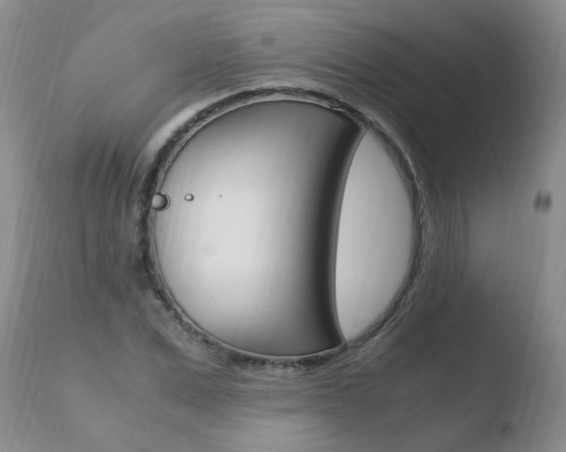 X0000110770975200906150950