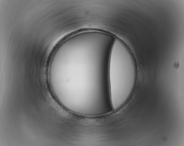 X0000110770976200906150950