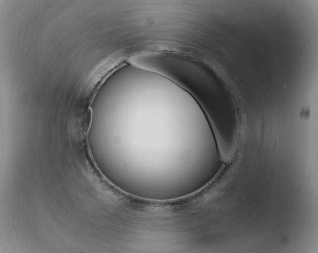 X0000110770977200906150950