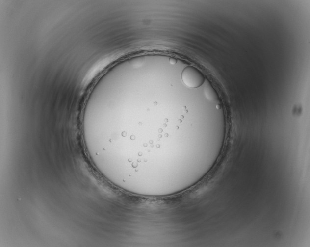 X0000110770978200906150950