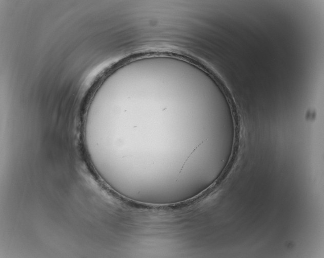 X0000110770979200906150950