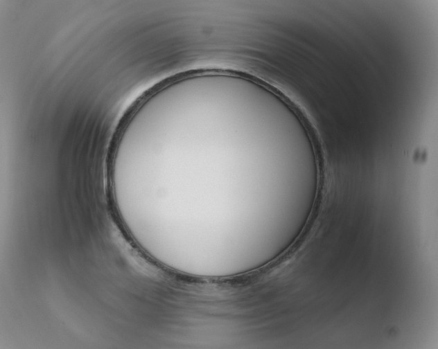 X0000110770980200906150950