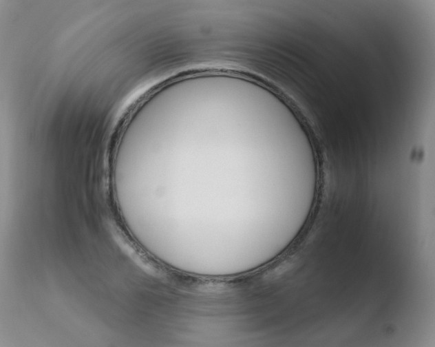 X0000110770982200906150950